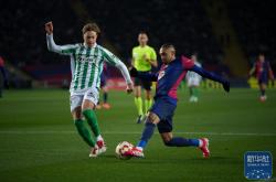 开云体育中国官网-欧洲国家足球盛事即将拉开帷幕，强强对决的简单介绍