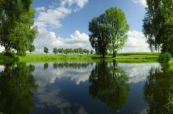 开云体育在线-爱德华兹狂轰统治级数据，开拓者队击溃上海队展现实力差距