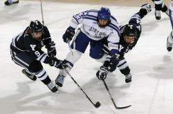 开云足球直播-欧冠决赛之夜，约基奇表现堪称教科书，当篮球智慧跨越运动边界