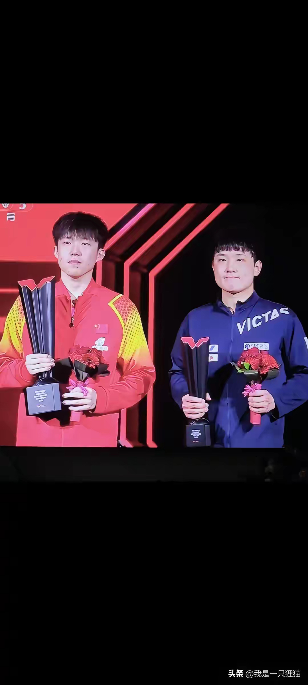 关于英格兰队轻取法国队，张本智和点燃赛场的信息