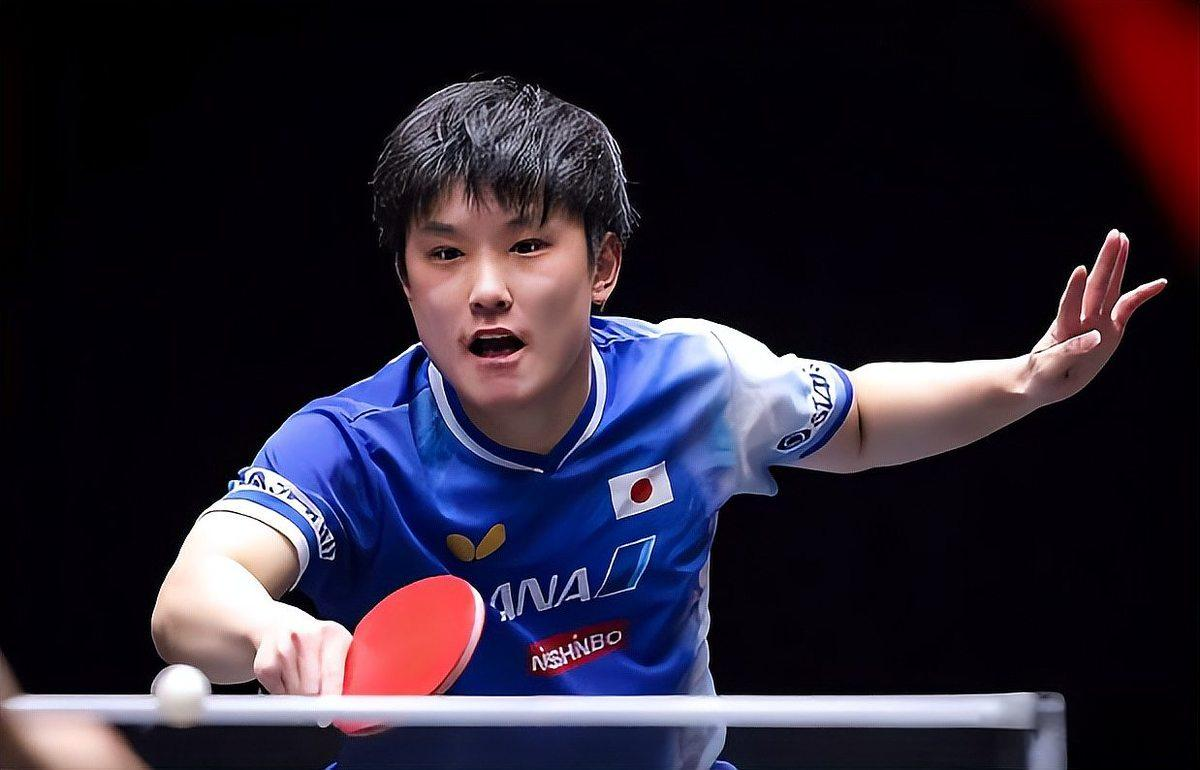 法国乒乓球队险胜波兰乒乓球队，张本智和惊艳世界的简单介绍