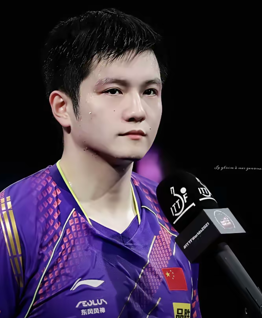 关于奥地利乒乓球队鏖战德国乒乓球队，樊振东打破历史纪录的信息